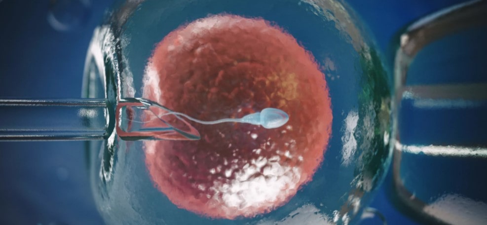 embriyo transferi sonrasi cinsel birliktelik